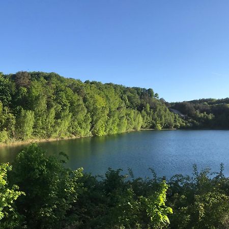Domek Pod Swierkiem Wapnica  Exteriör bild